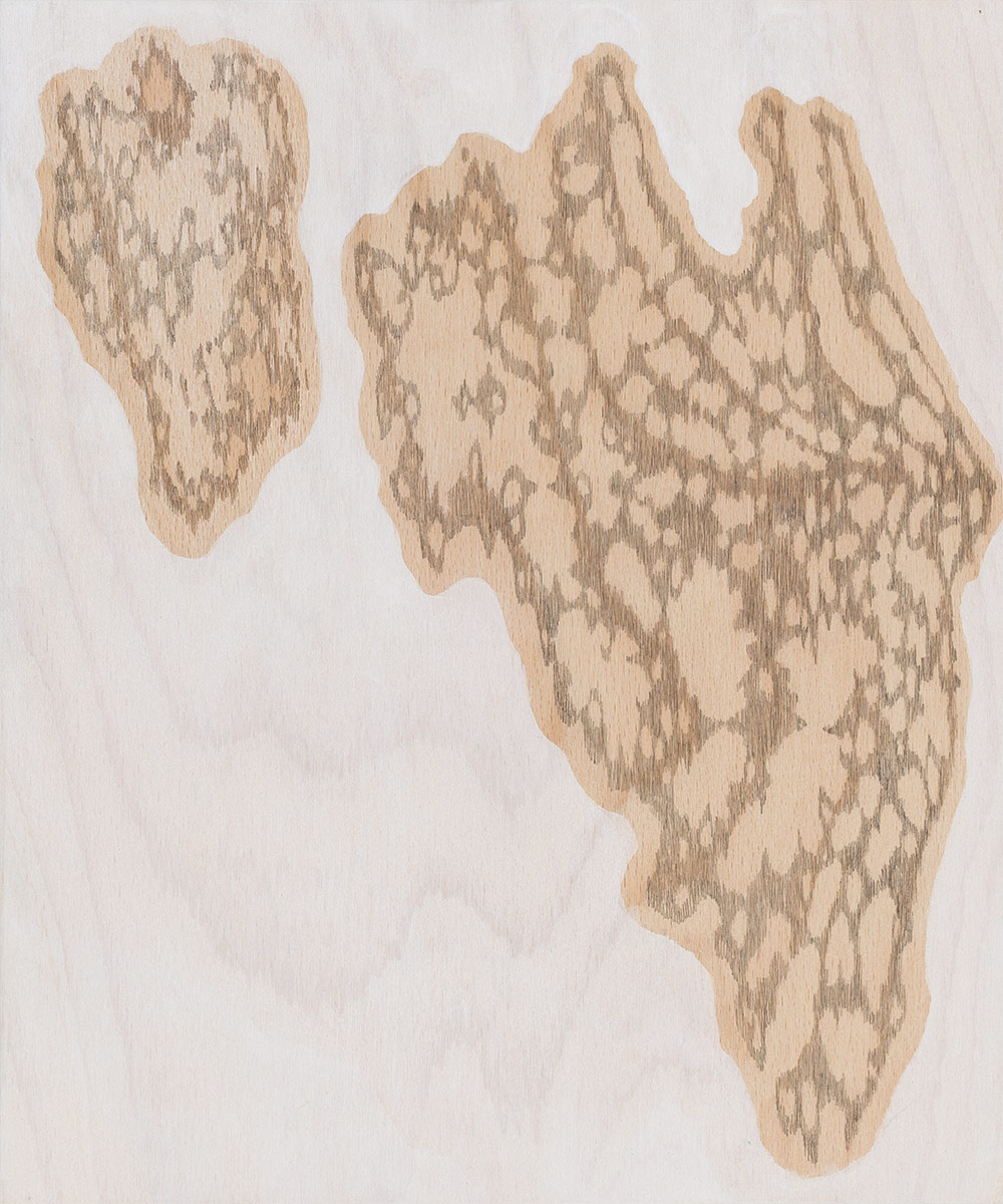 07 Wood - acrylic and pencil on wood - 30 x 25 cm - 2018